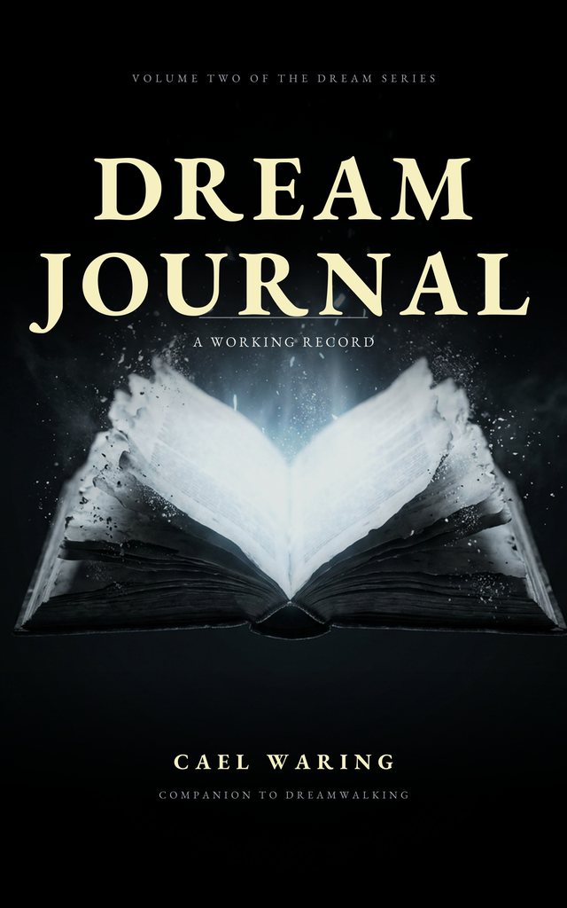 Cover of The Dream Journal